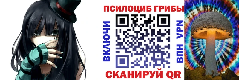 Псилоцибиновые грибы мухоморы  где продают наркотики  Камышлов 